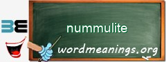 WordMeaning blackboard for nummulite